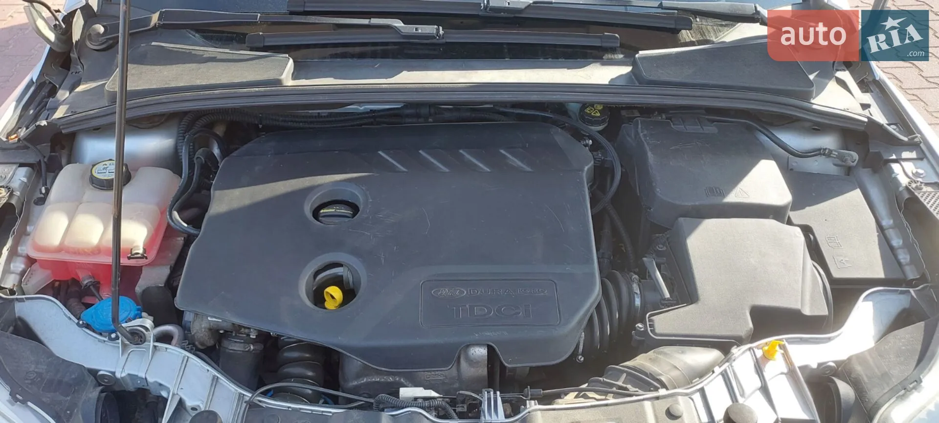 2012 Ford Focus - мініатюра 3