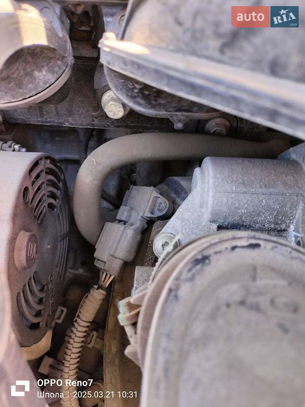 Хэтчбек Ford Focus 2011 в Шполе