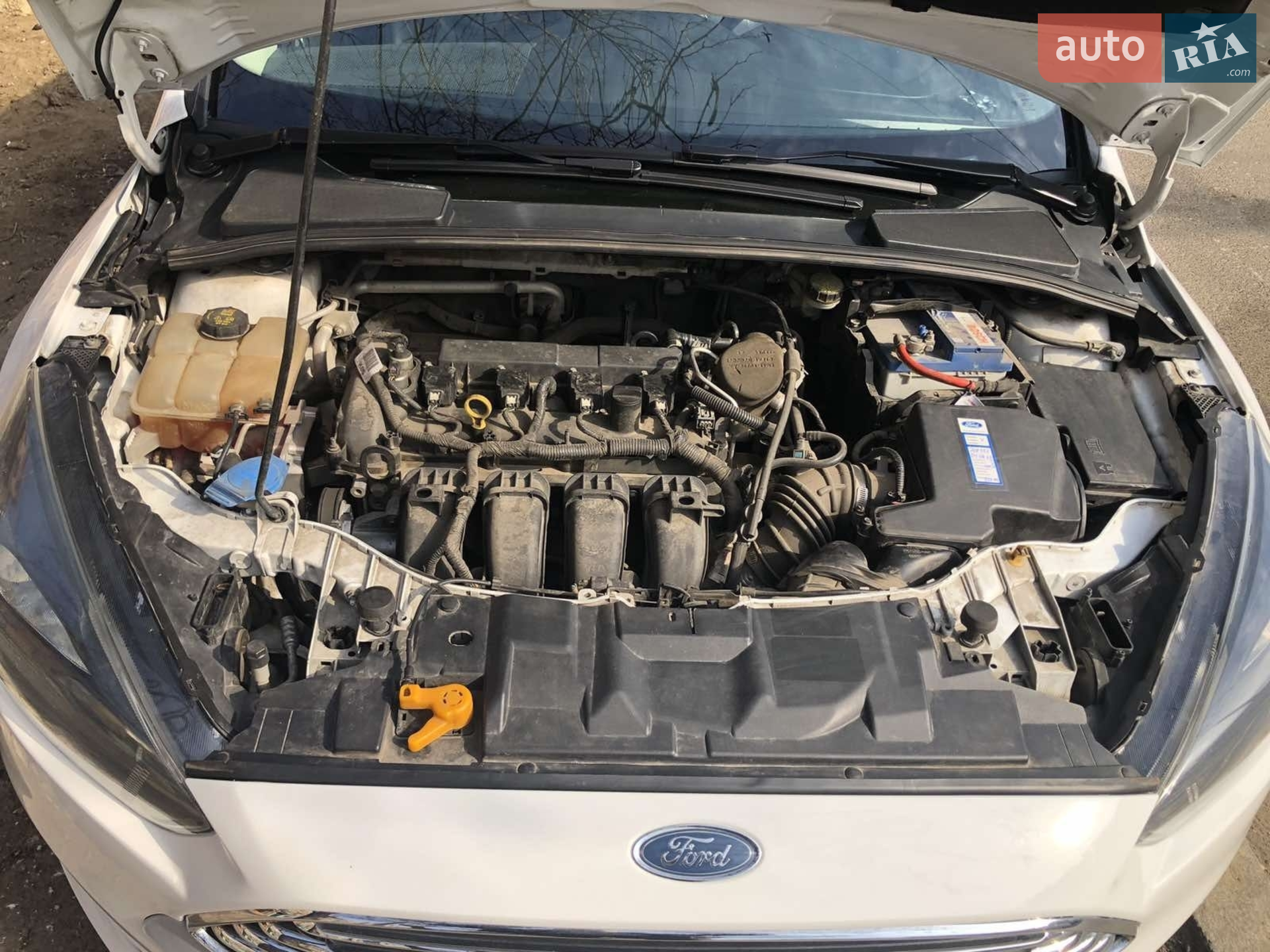 2015 Ford Focus - мініатюра 3