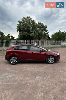 Хэтчбек Ford Focus 2015 в 