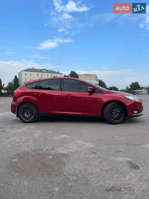 Хэтчбек Ford Focus 2015 в Андрушевке фото 2 Хэтчбек Ford Focus 2015 в Андрушевке
