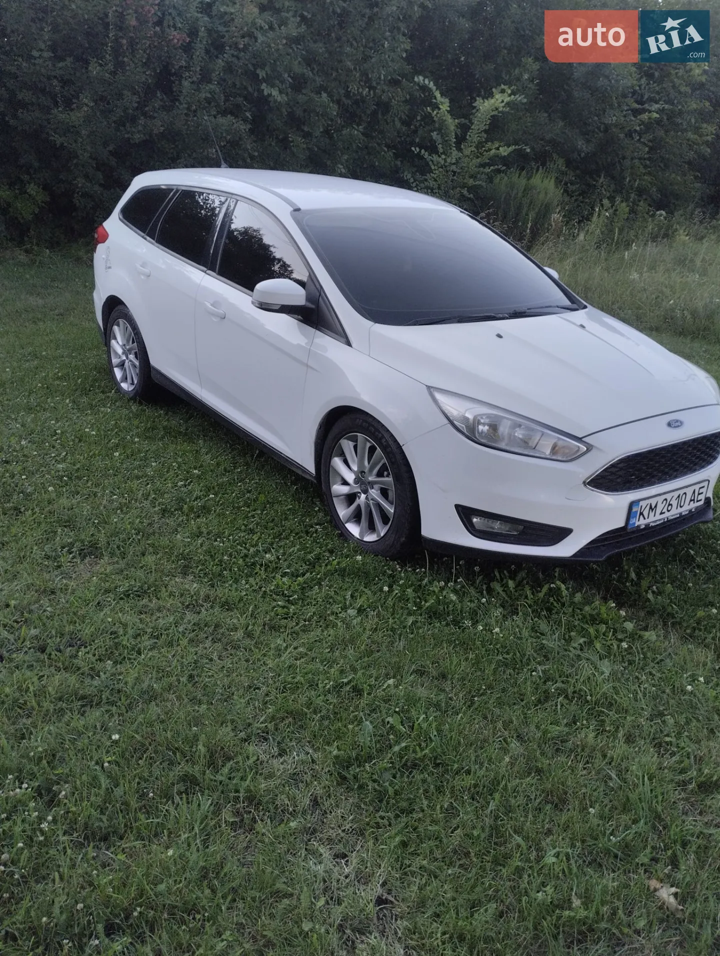 2014 Ford Focus - фото 1