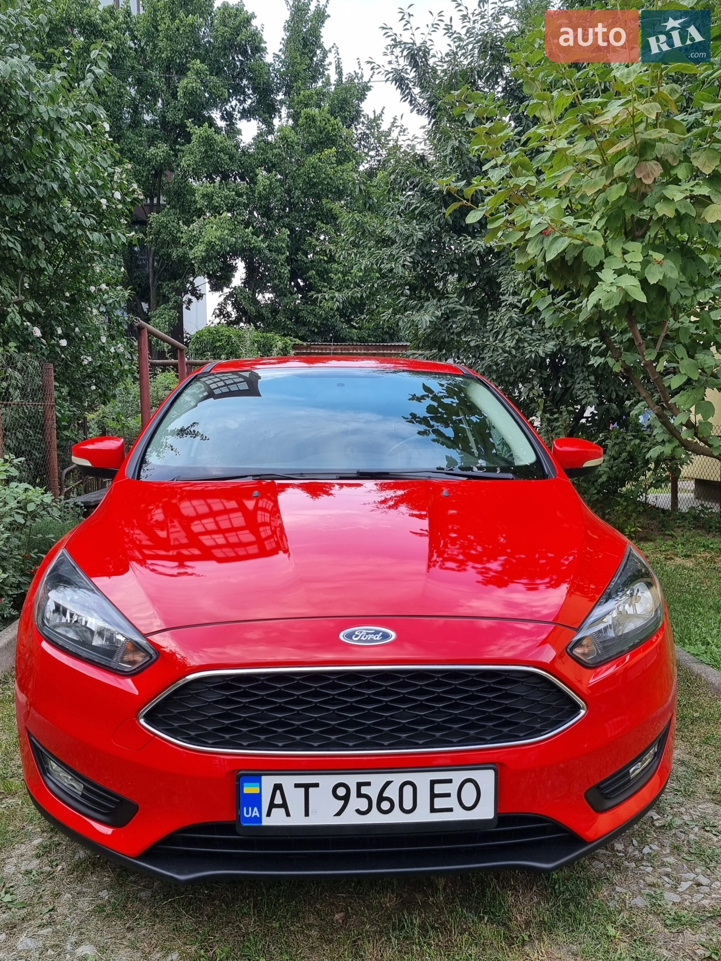 2016 Ford Focus - фото 1