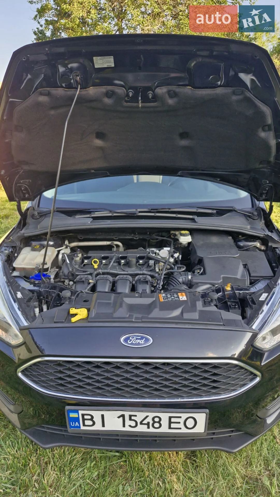 2016 Ford Focus - мініатюра 33