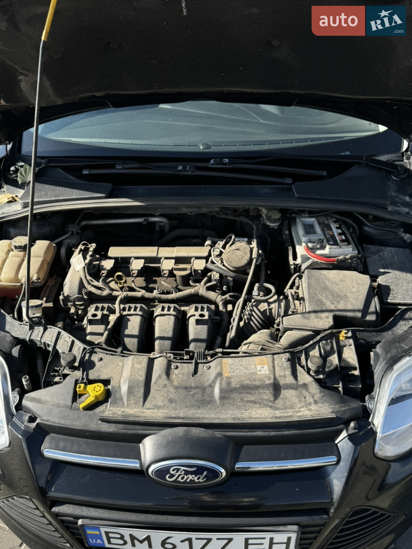 2014 Ford Focus - мініатюра 25