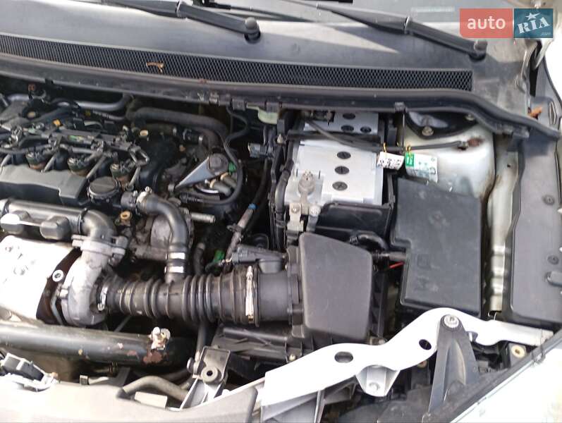 Универсал Ford Focus 2006 в Чернигове фото 21 Универсал Ford Focus 2006 в Чернигове