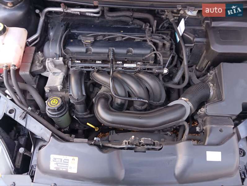Універсал Ford Focus 2008 в Почаєві