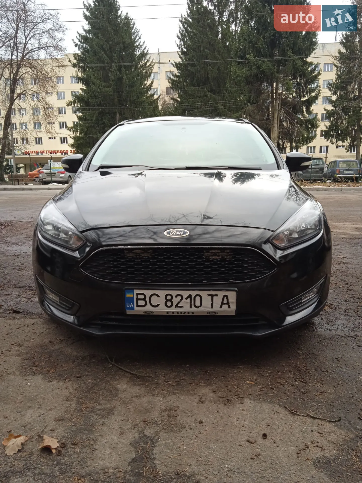 2015 Ford Focus - мініатюра 13