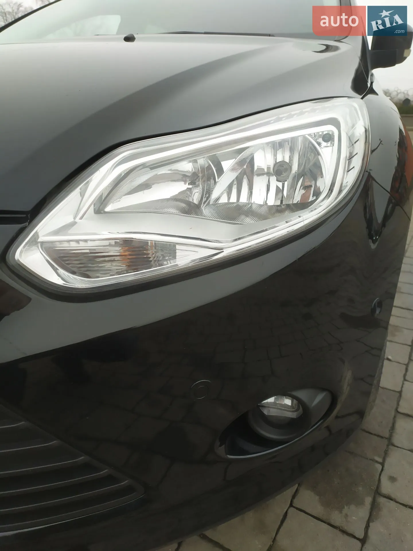 2013 Ford Focus - мініатюра 2