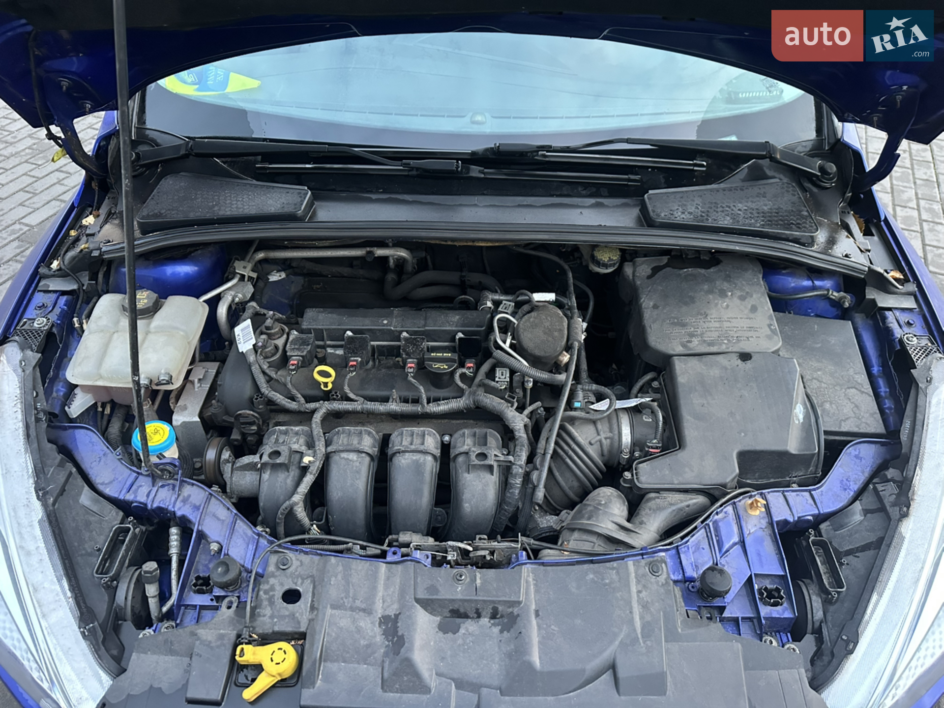 2014 Ford Focus - мініатюра 21