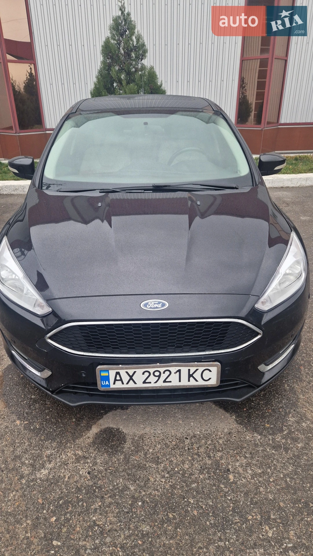 2015 Ford Focus - мініатюра 2