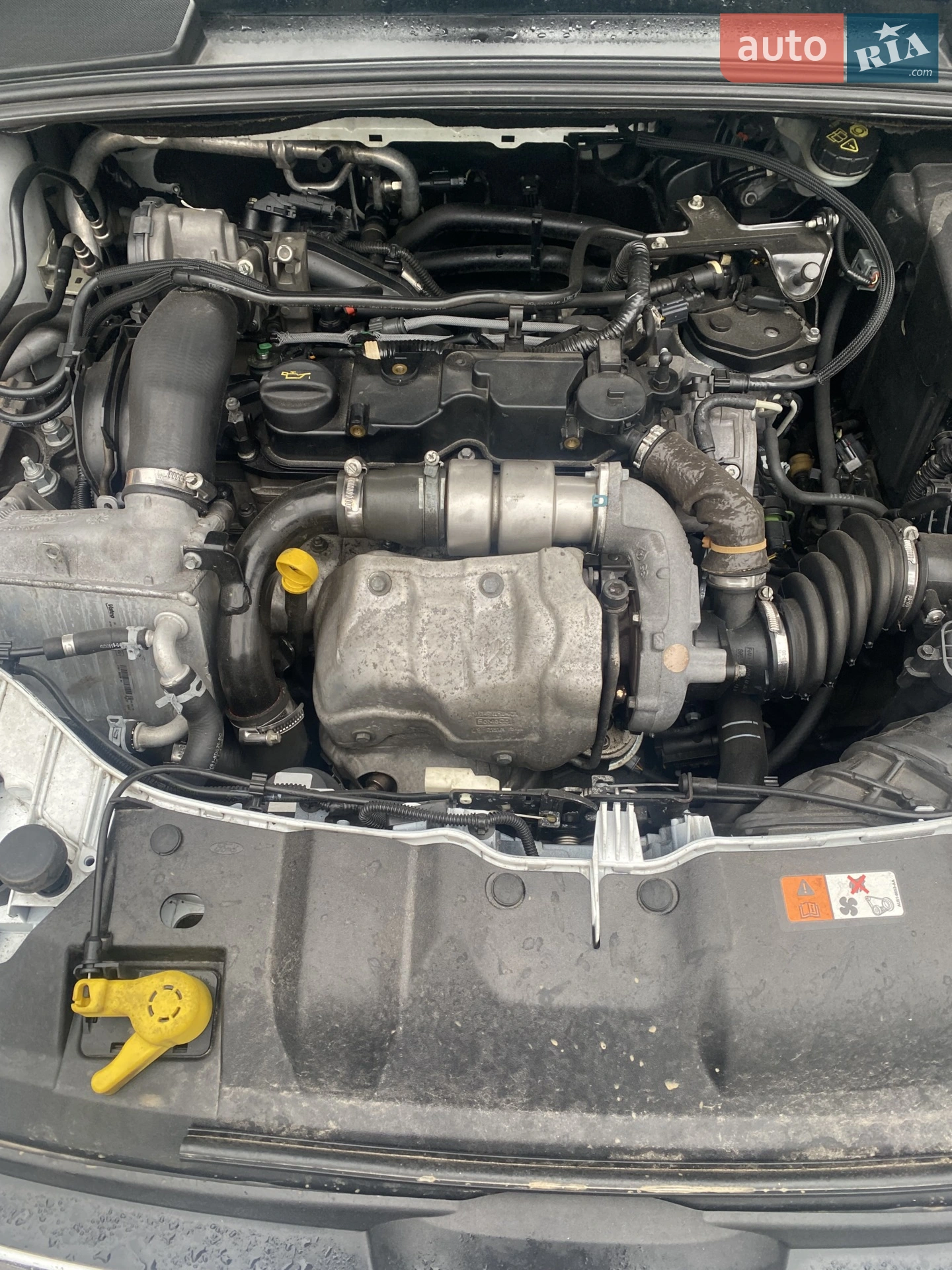 2014 Ford Focus - мініатюра 4