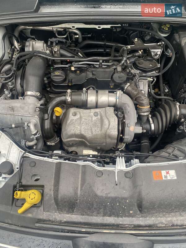 Хэтчбек Ford Focus 2014 в Житомире