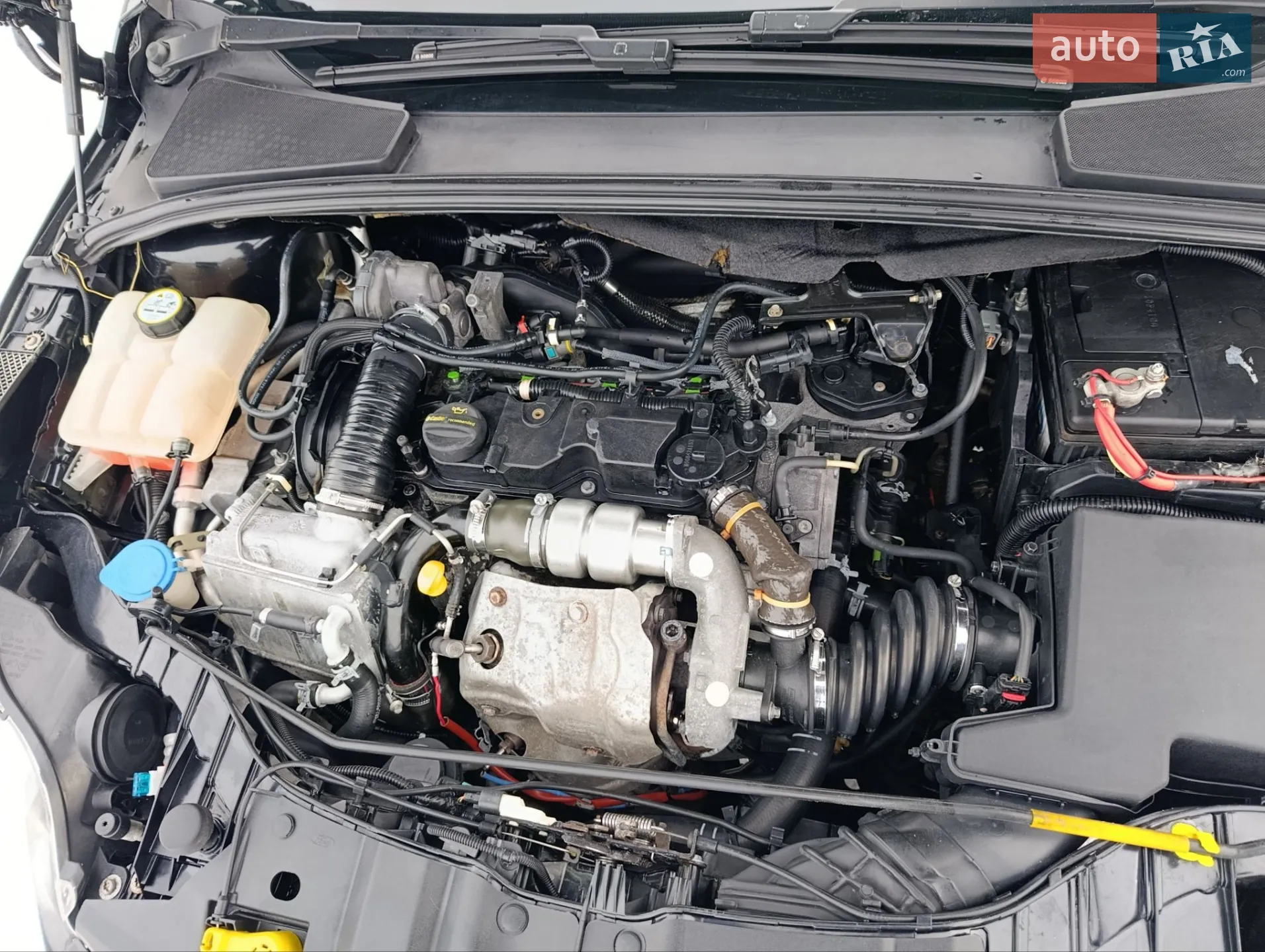 2012 Ford Focus - мініатюра 16