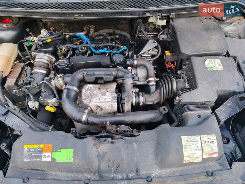 Універсал Ford Focus 2008 в Кривому Розі