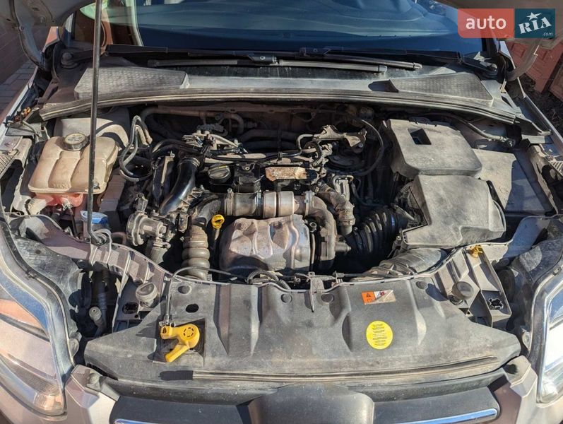 Универсал Ford Focus 2011 в Дунаевцах