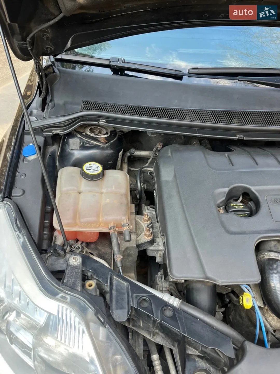 2010 Ford Focus - мініатюра 12