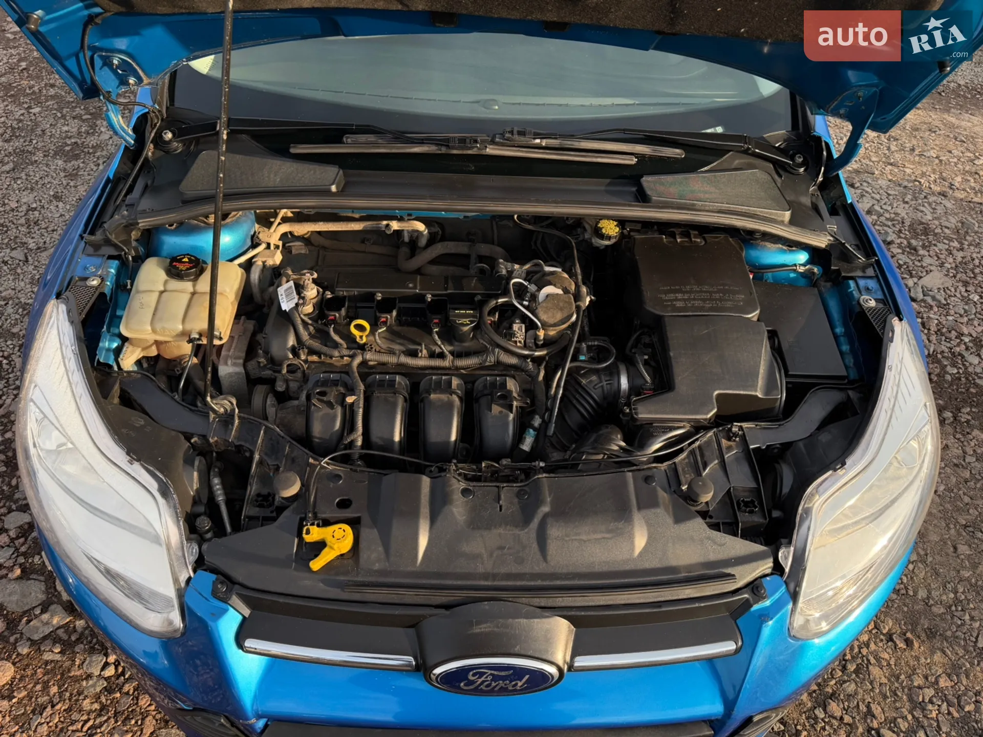2014 Ford Focus - мініатюра 13