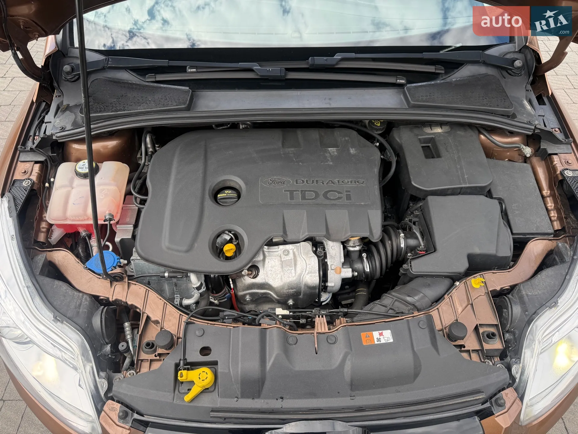 2013 Ford Focus - мініатюра 21