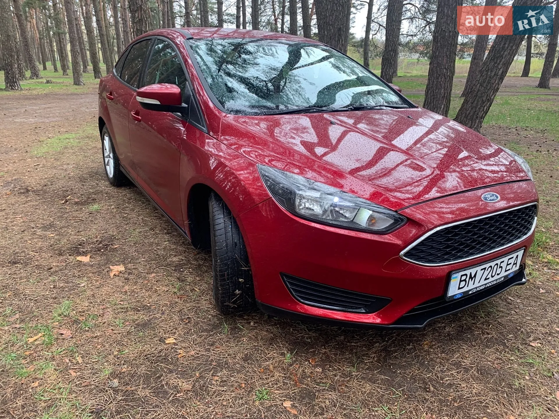 2015 Ford Focus - мініатюра 10