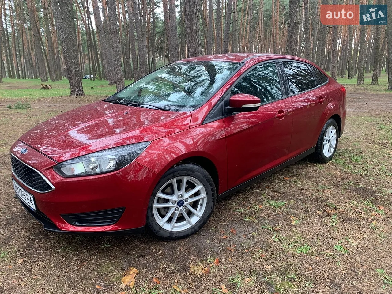 2015 Ford Focus - мініатюра 17