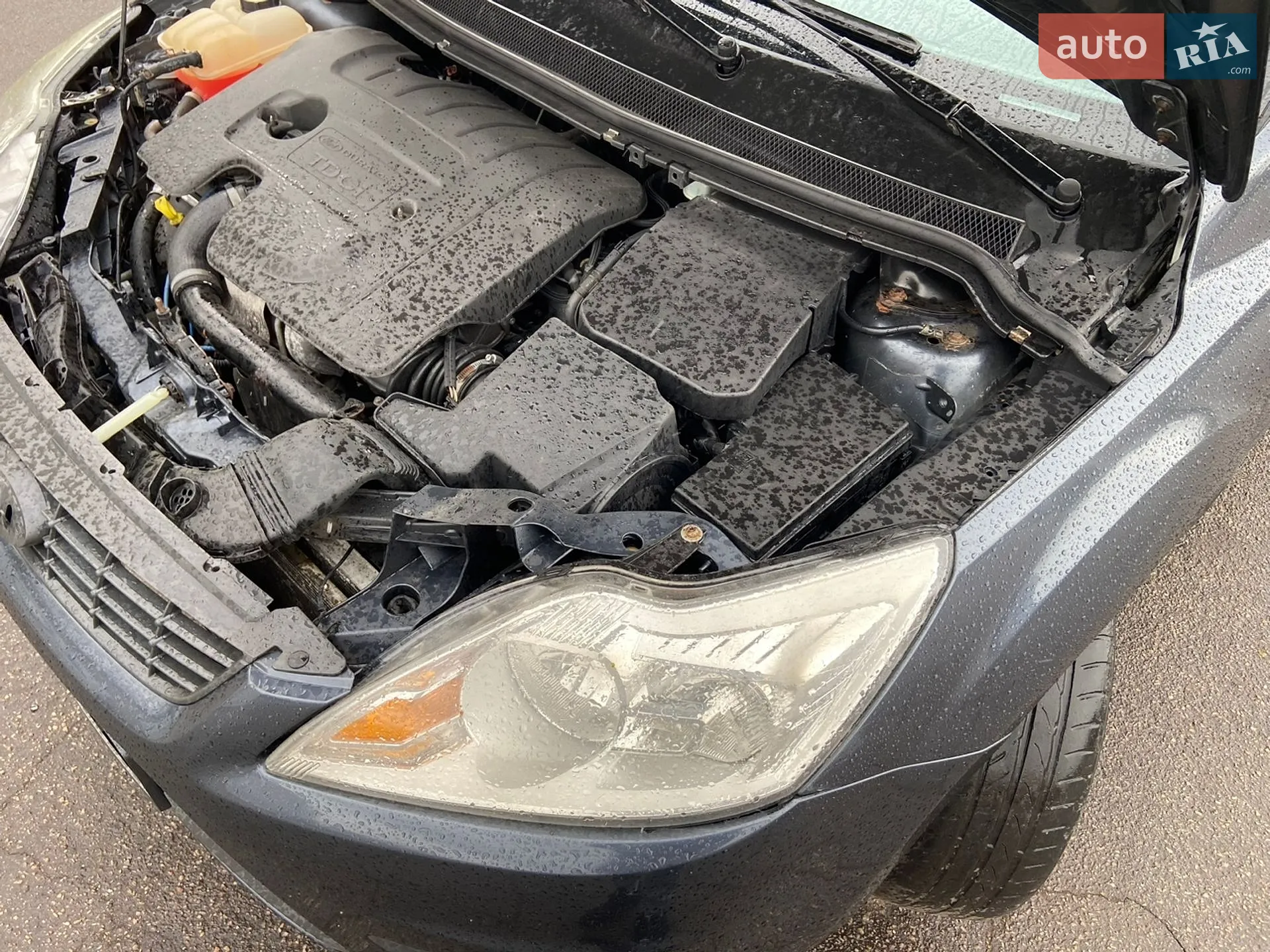2010 Ford Focus - мініатюра 32
