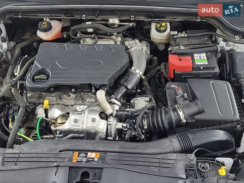Хэтчбек Ford Focus 2019 в Броварах