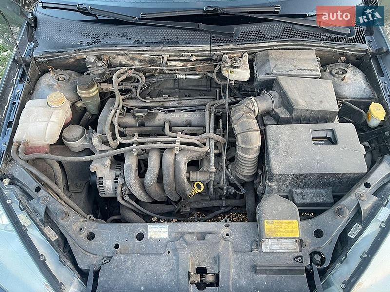 Универсал Ford Focus 2003 в Бродах