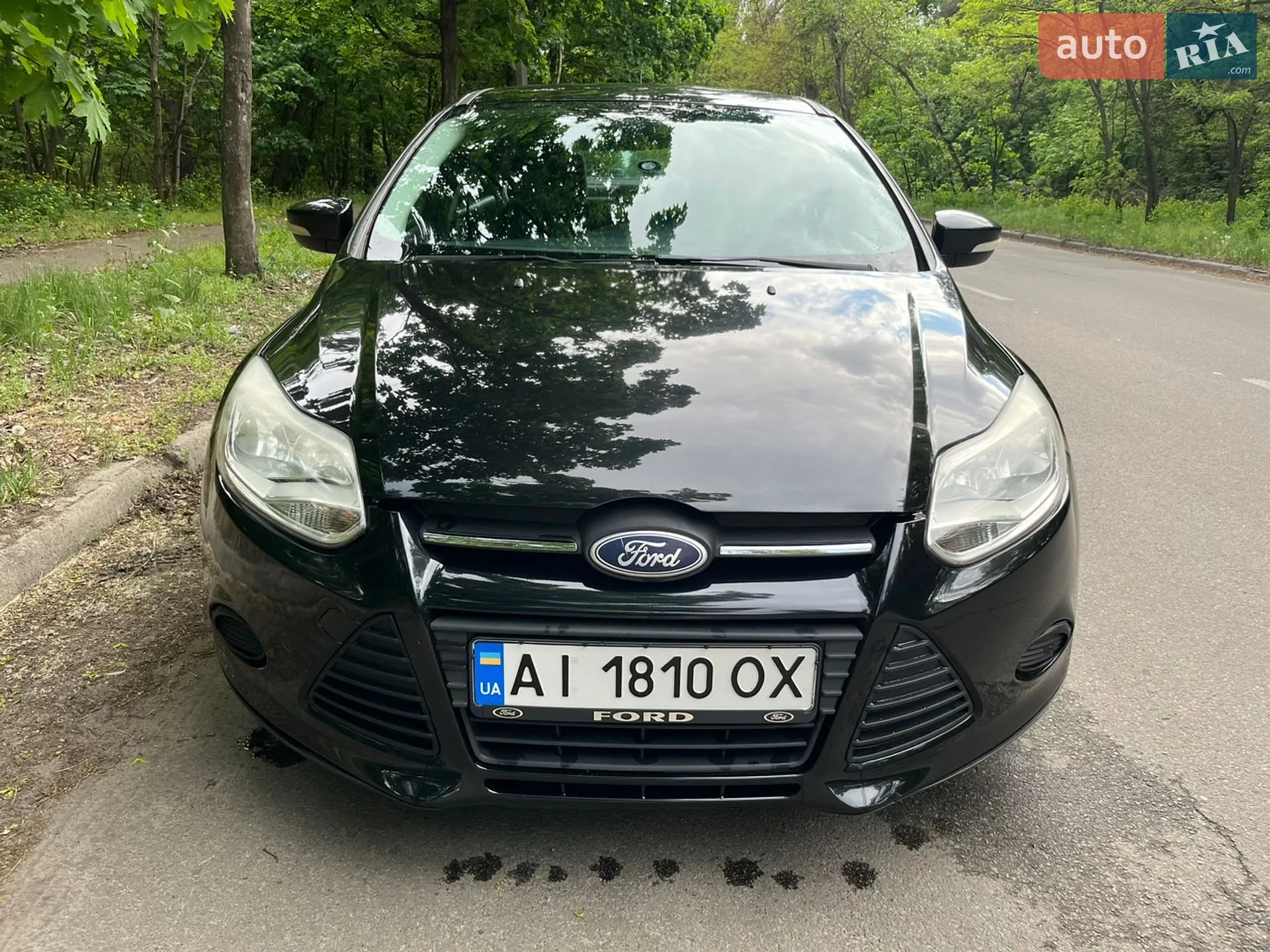 2013 Ford Focus - мініатюра 2