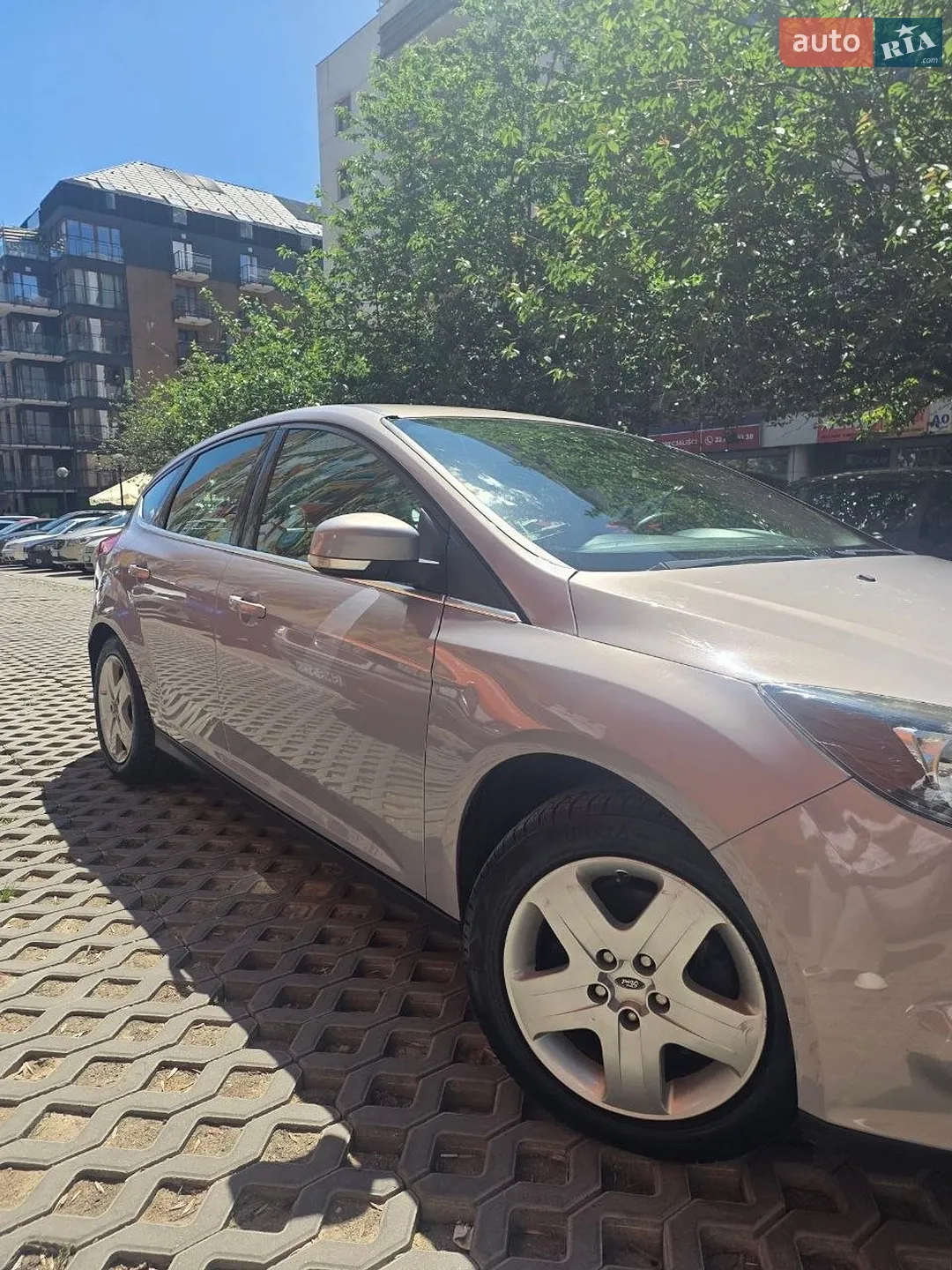 2013 Ford Focus - мініатюра 4