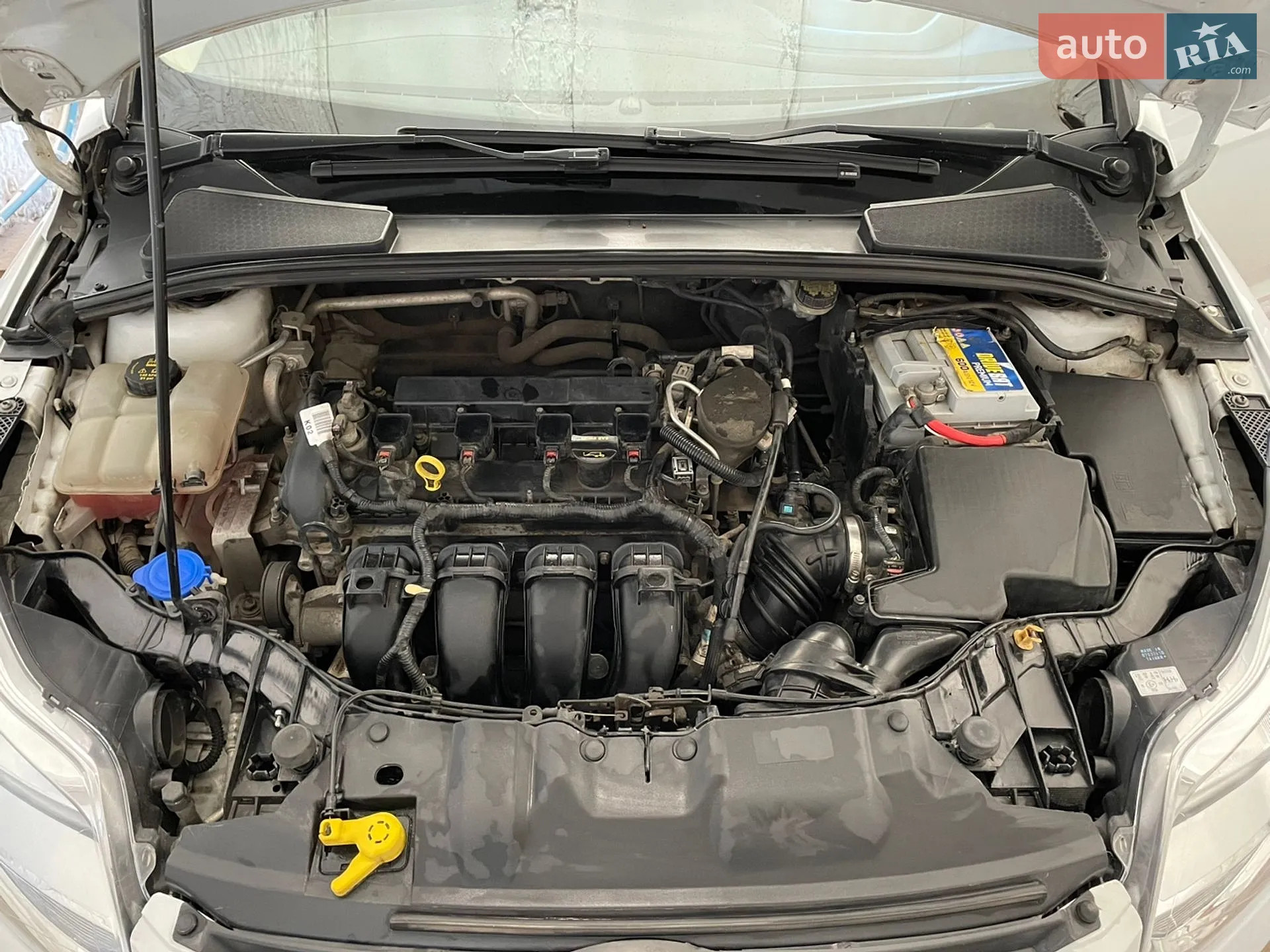 2013 Ford Focus - мініатюра 7