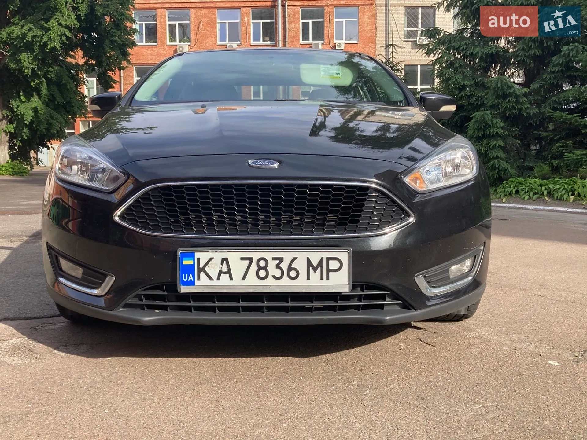 2013 Ford Focus - мініатюра 3