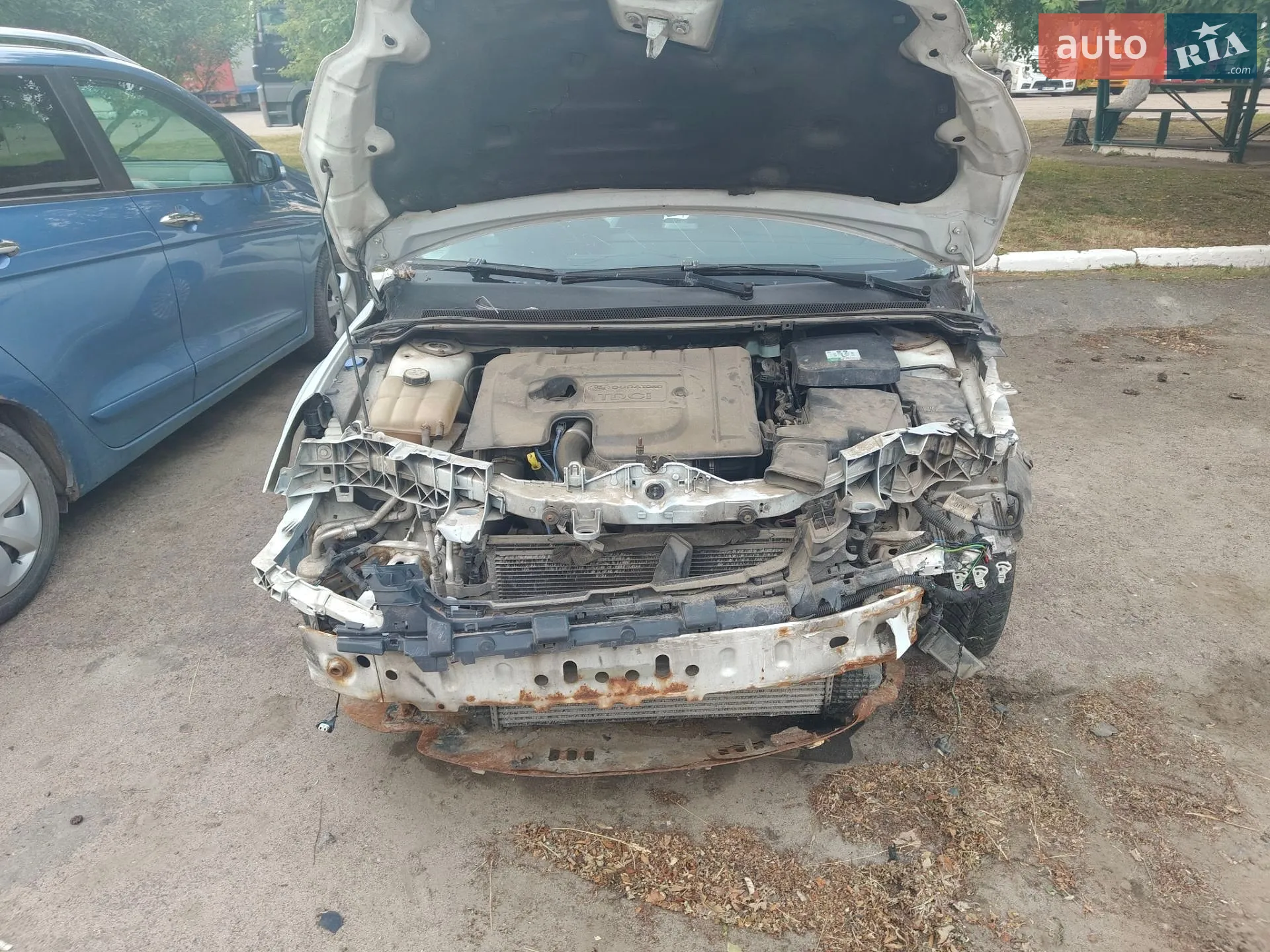 2010 Ford Focus - мініатюра 8