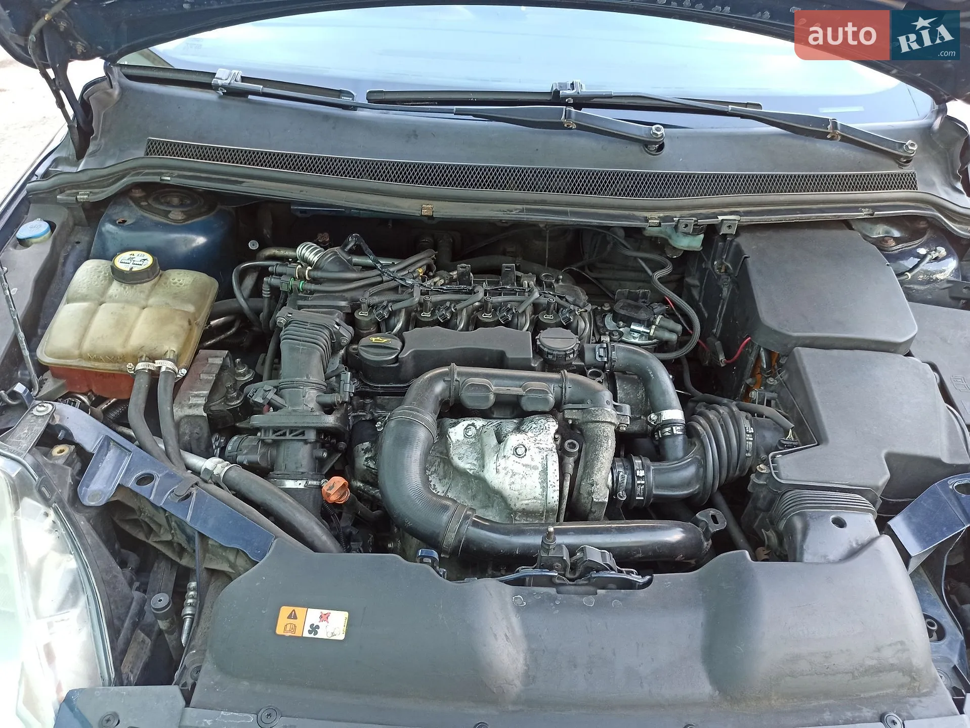 2010 Ford Focus - мініатюра 11