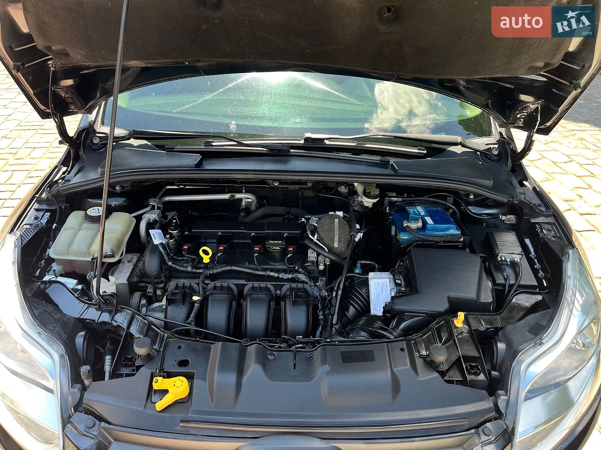2014 Ford Focus - мініатюра 21