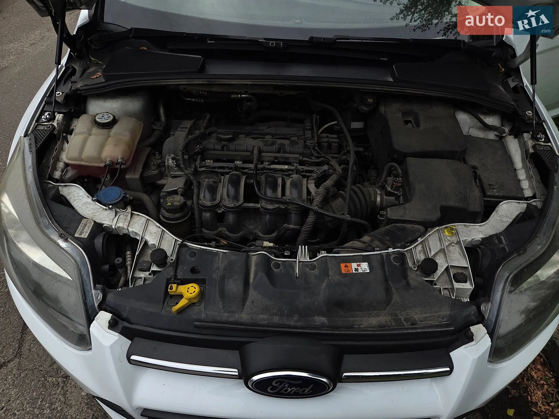 2013 Ford Focus - мініатюра 12