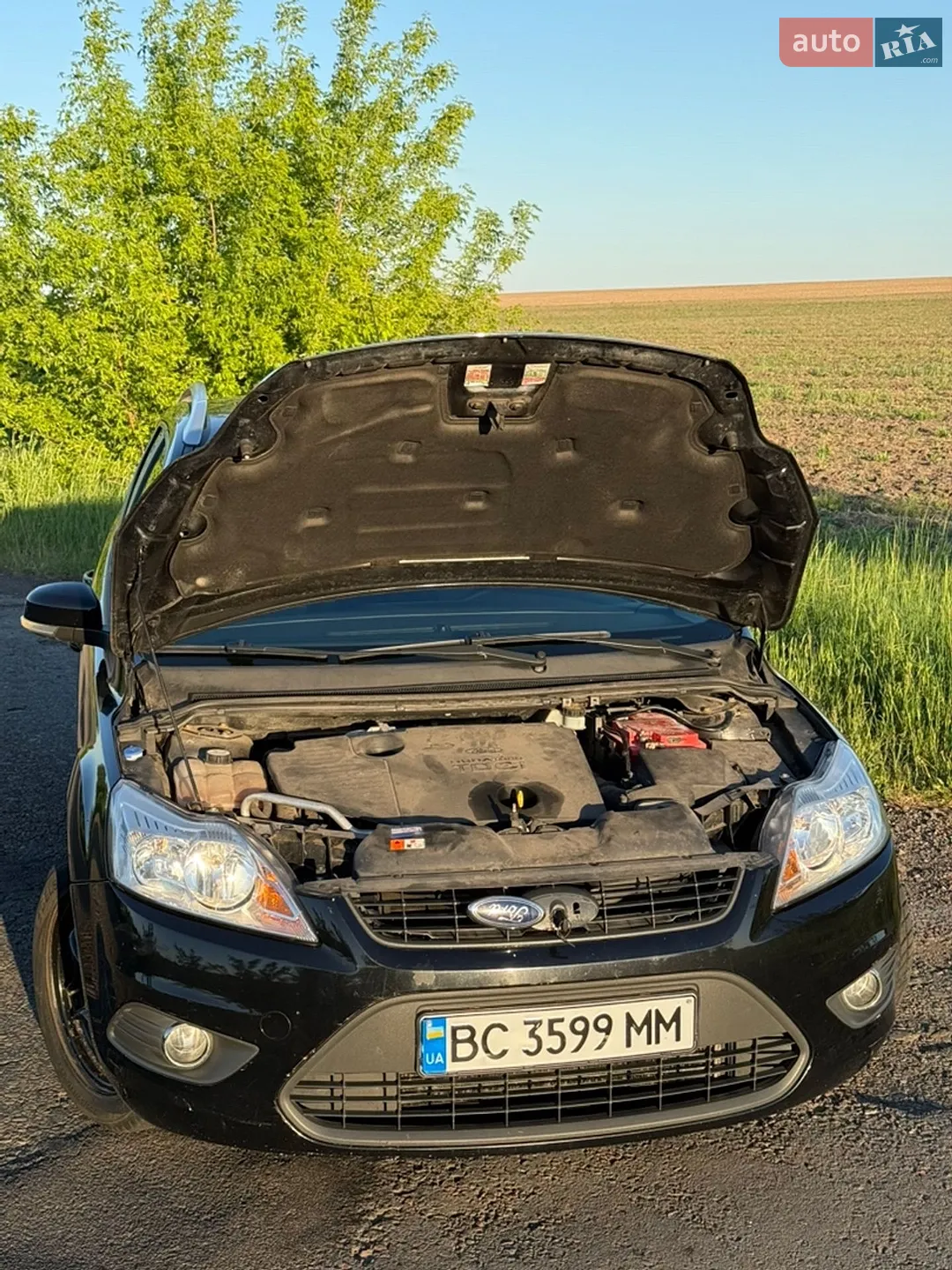2010 Ford Focus - мініатюра 3