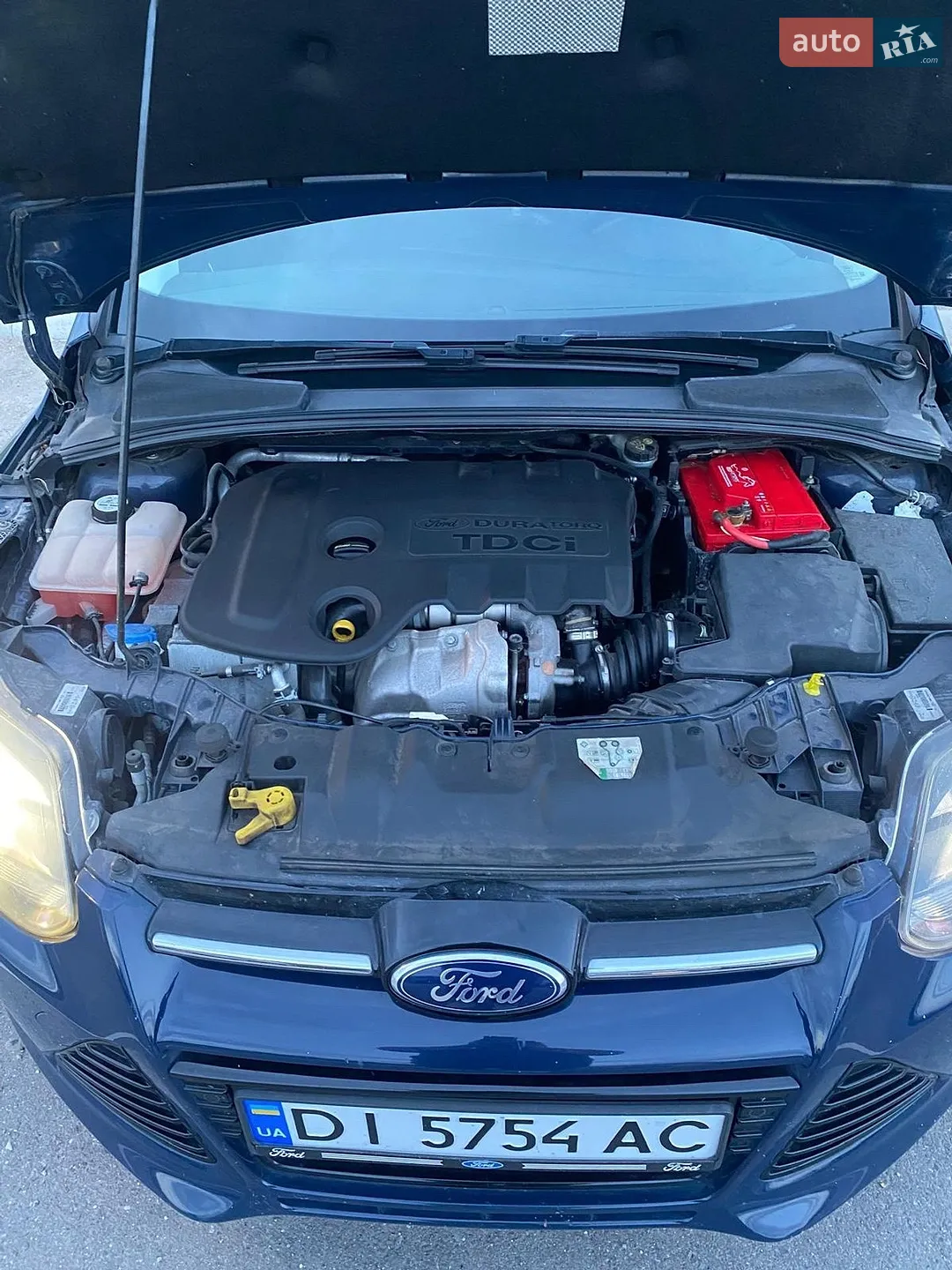 2013 Ford Focus - мініатюра 8