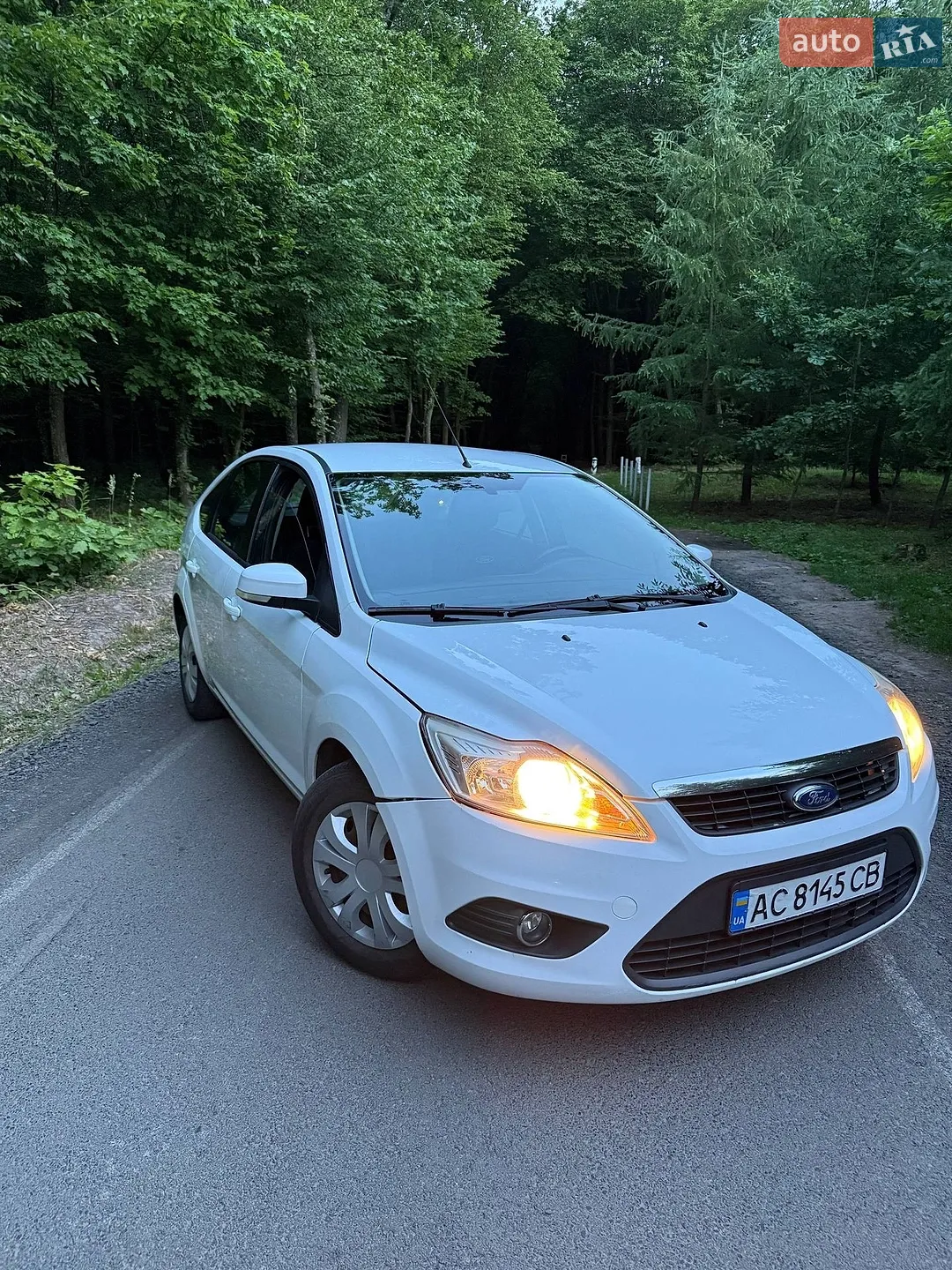 2010 Ford Focus - фото 1
