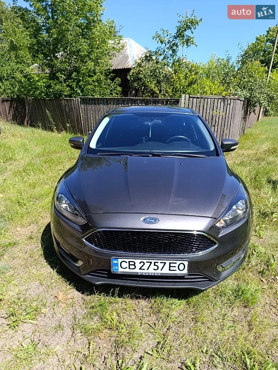 2015 Ford Focus - фото 1