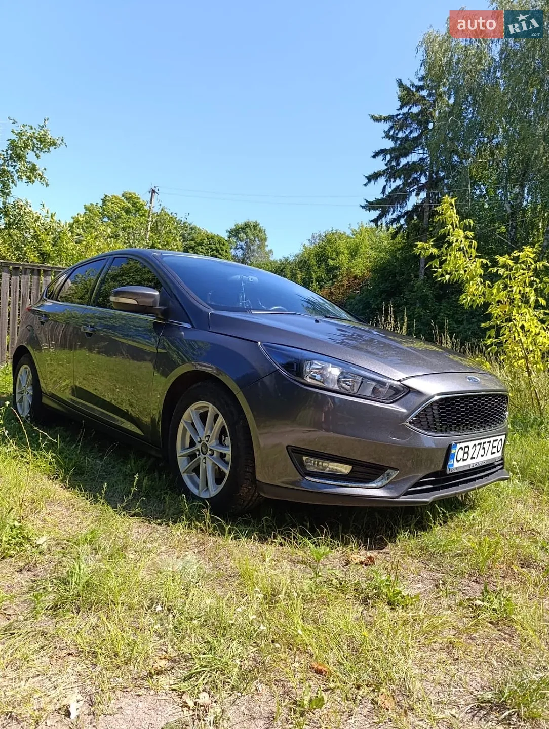 2015 Ford Focus - мініатюра 2