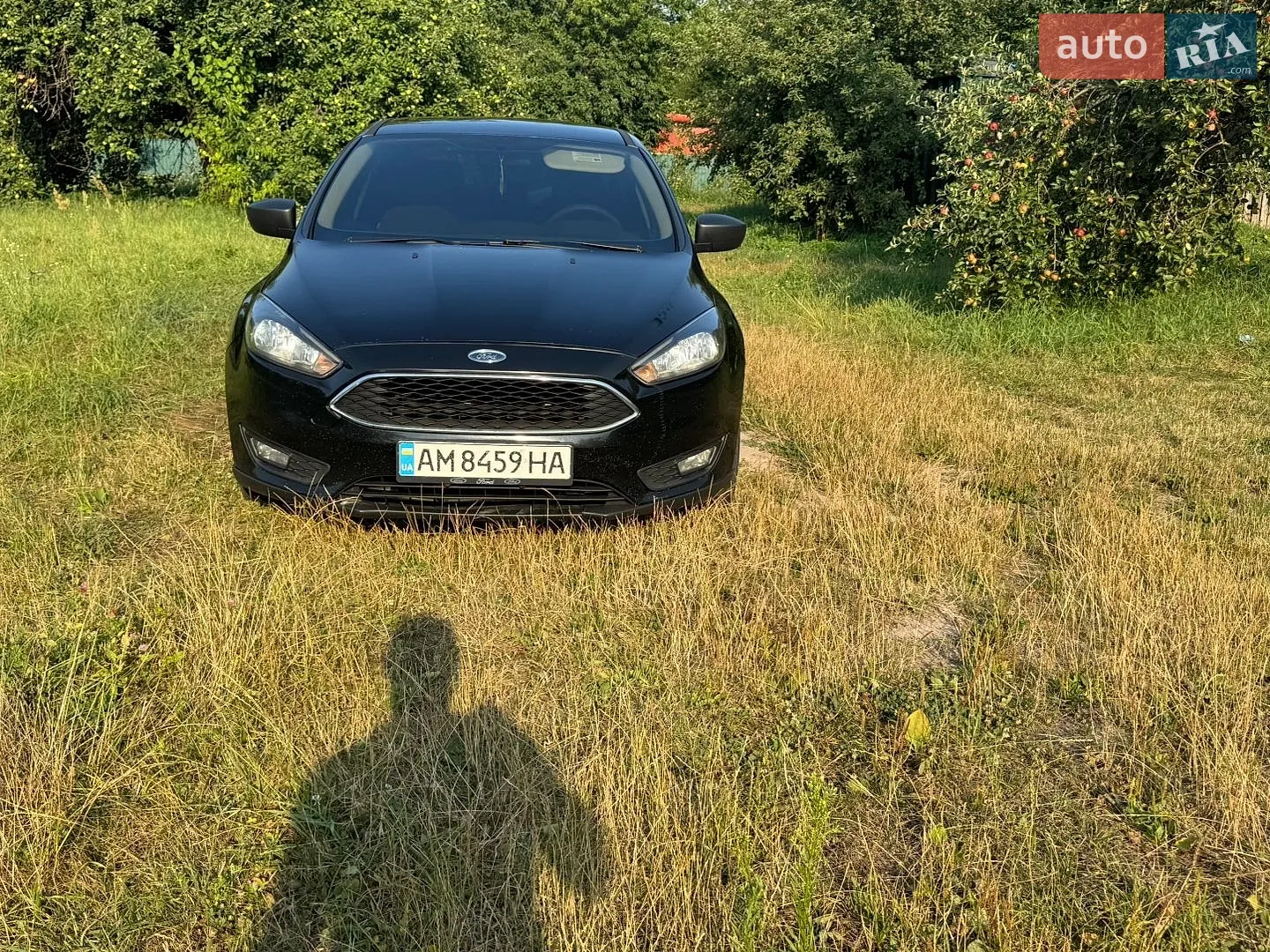 2015 Ford Focus - мініатюра 6
