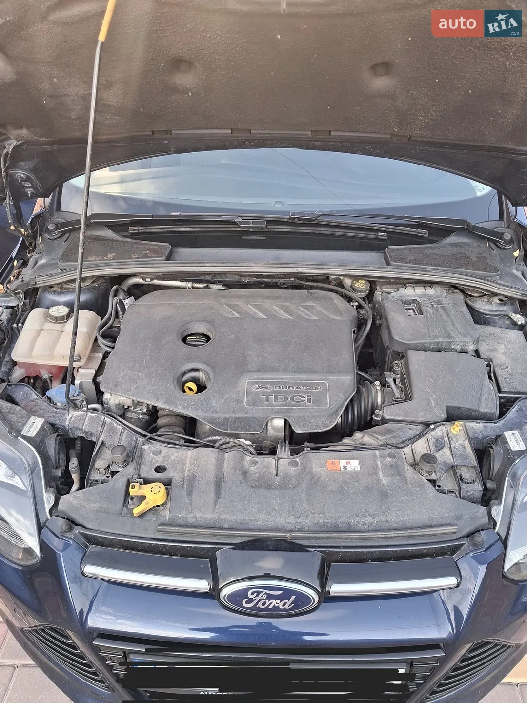 2013 Ford Focus - мініатюра 12