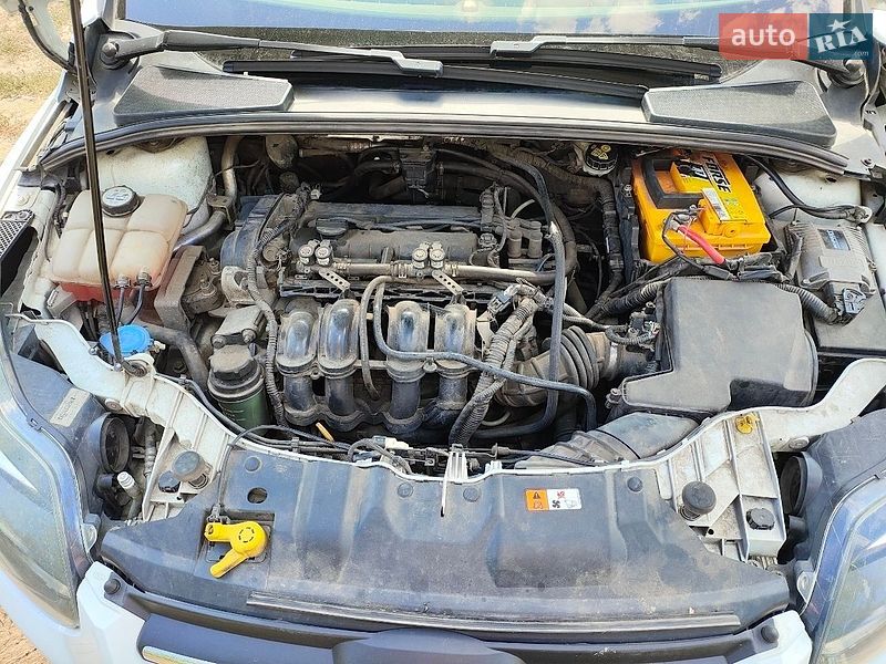 Хэтчбек Ford Focus 2012 в Петрове