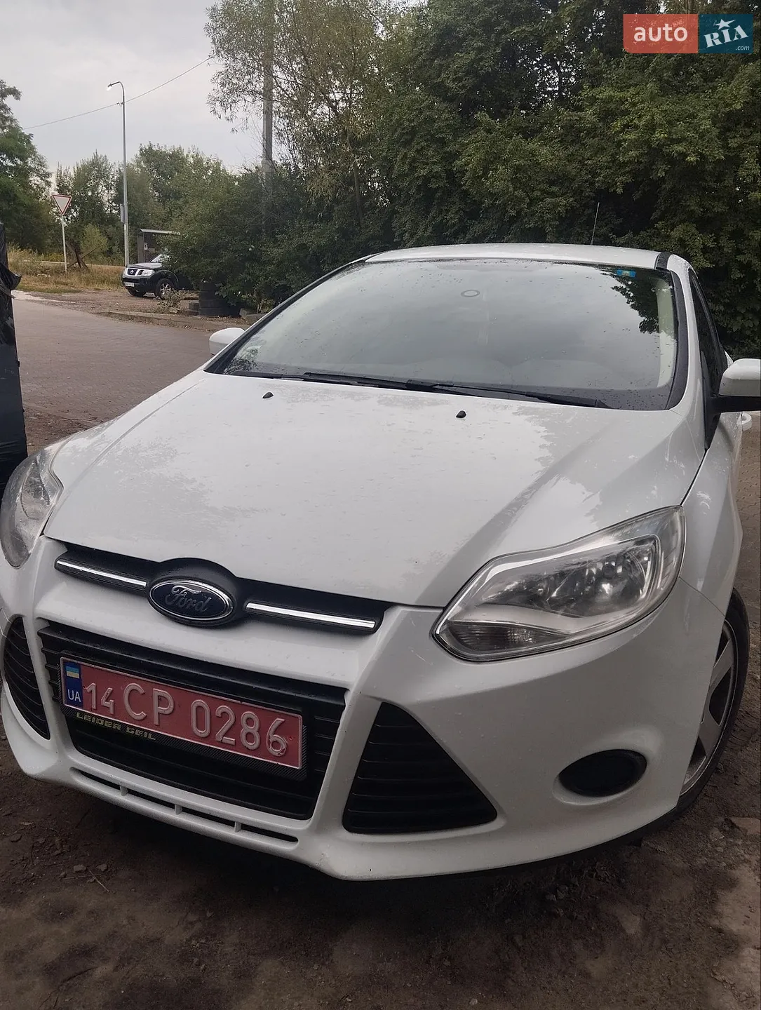 2013 Ford Focus - фото 1