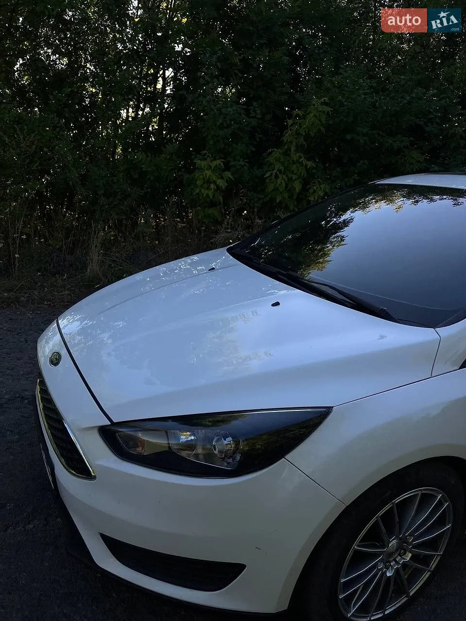 2014 Ford Focus - мініатюра 8