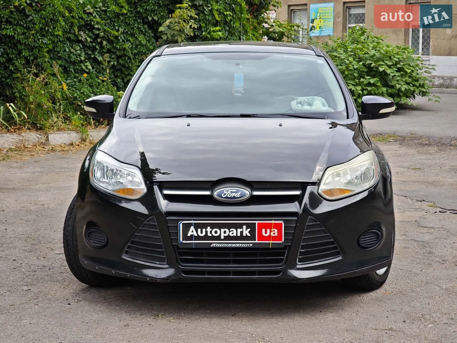 2014 Ford Focus - мініатюра 2