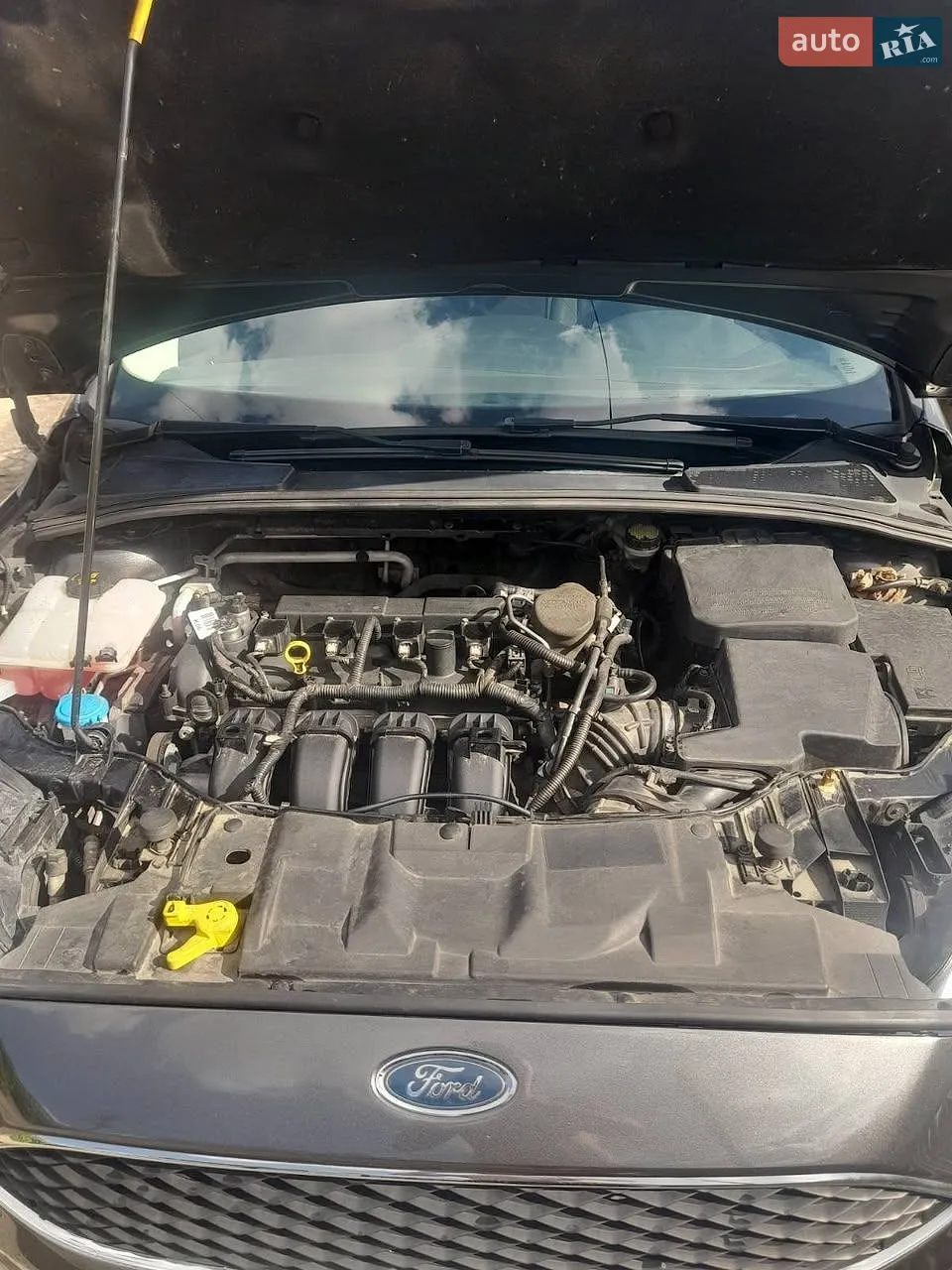 2015 Ford Focus - мініатюра 18
