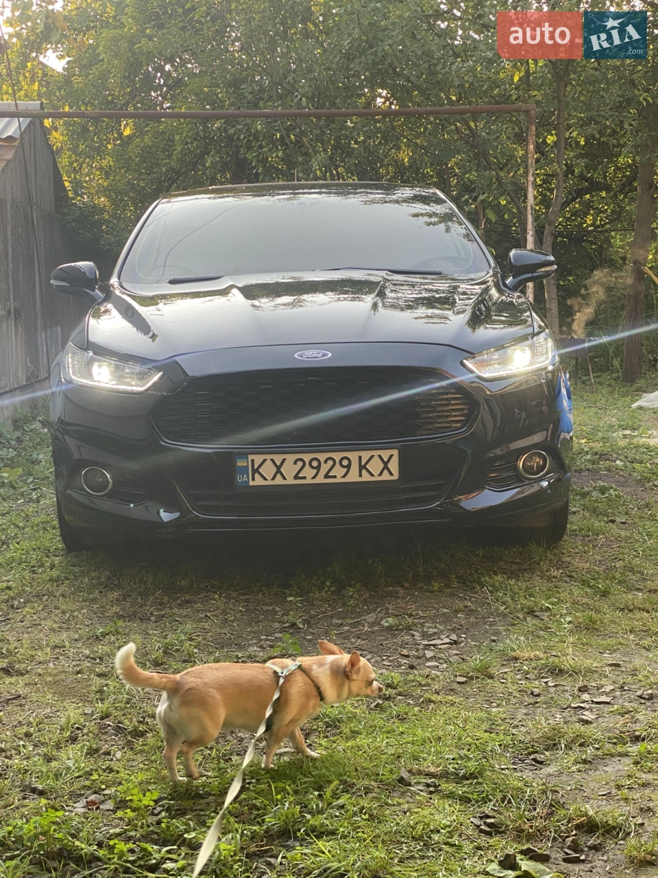 2014 Ford Fusion - мініатюра 15