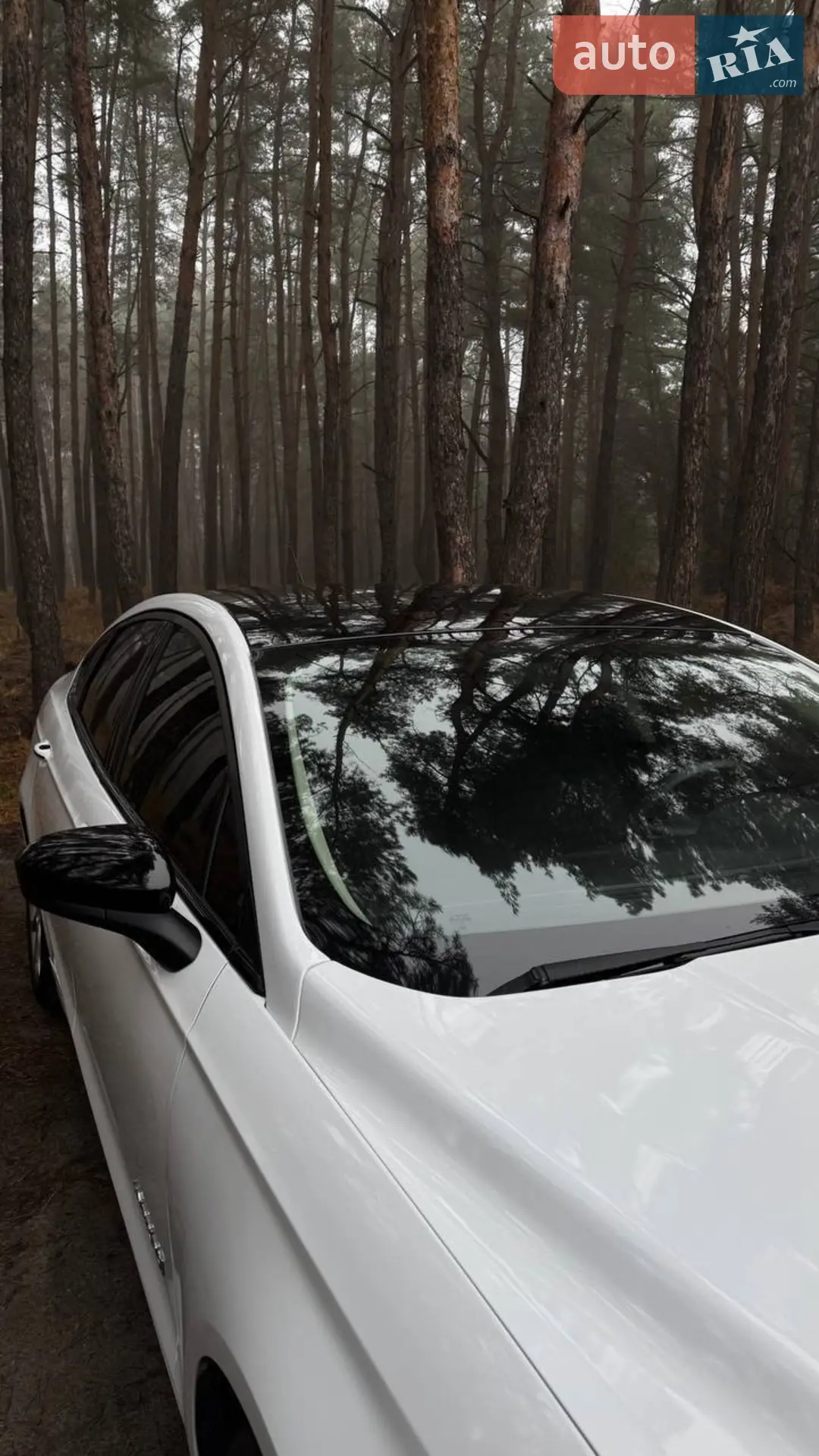 2017 Ford Fusion - мініатюра 2